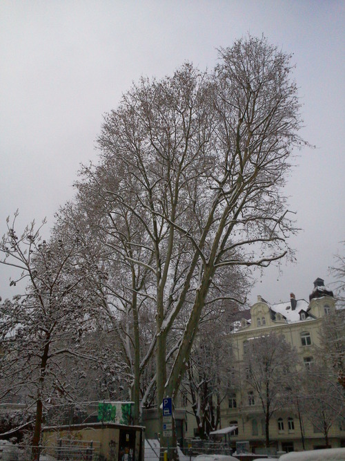 Foto0846