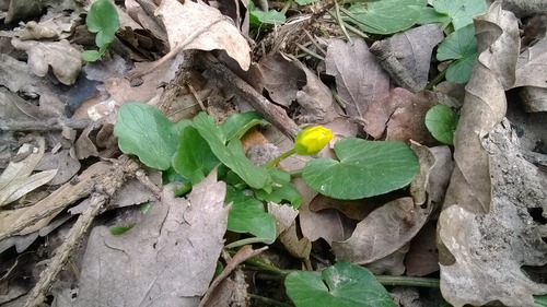 WP_20140316_004
