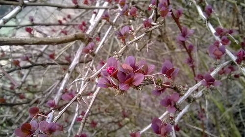 WP_20140316_007