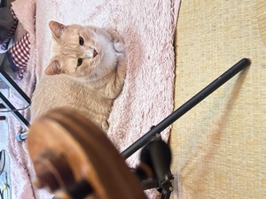 IMG_0129