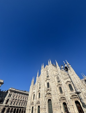IMG_6526