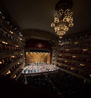 IMG_6554