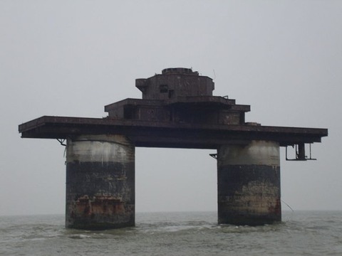 1b237e50.jpg
