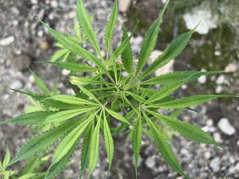 3e75f09a.jpg