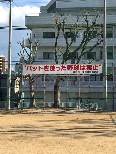 4d78b917.jpg