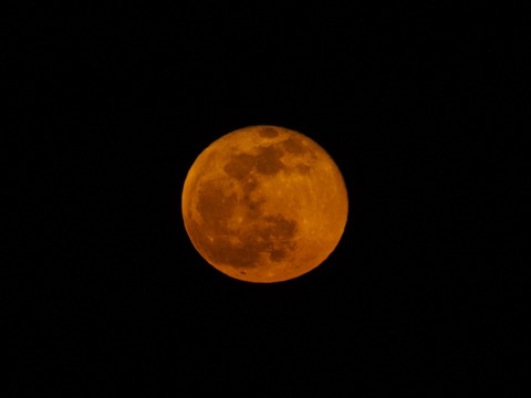 85c8f7a4.jpg