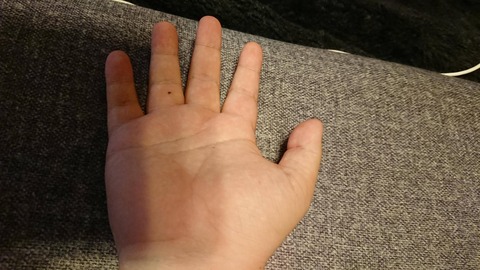 af913960.jpg