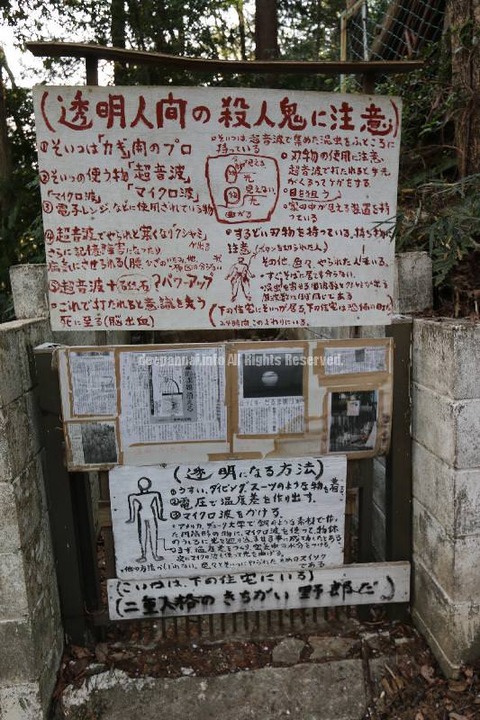 d085b181.jpg