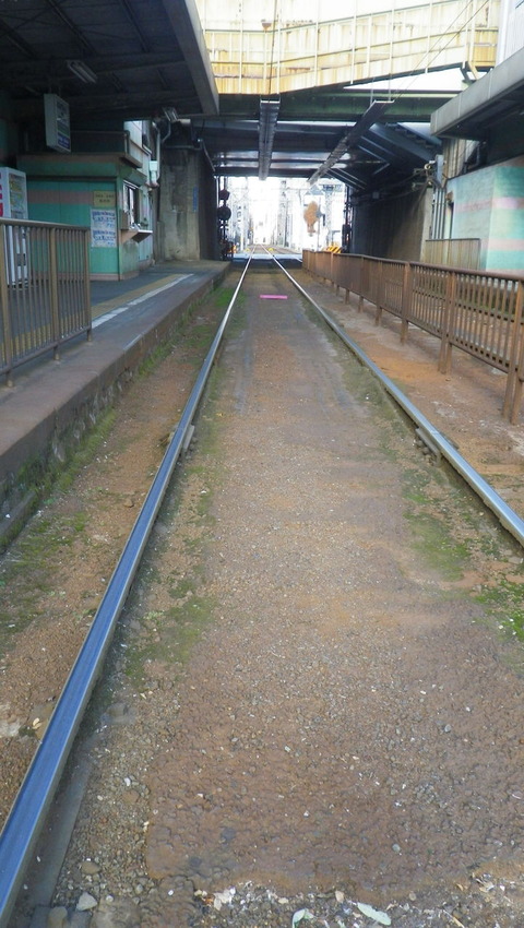 e3bf8485.jpg