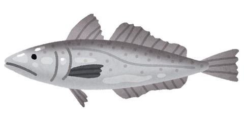 fish_merluza_merurusa