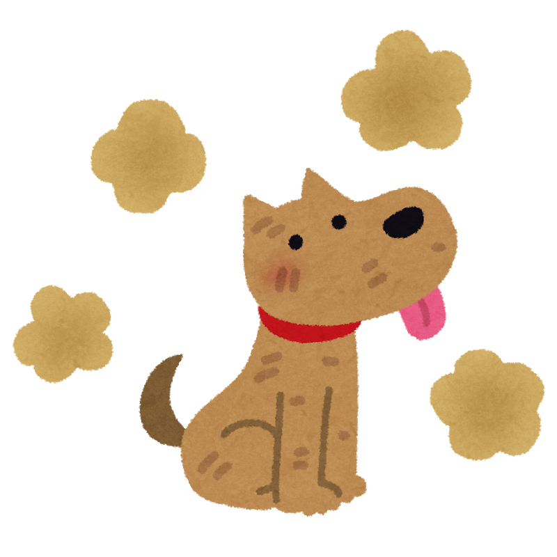 朗報 好きな女の子に 犬のにおいがする って言われたんだがこれってｗｗｗｗｗｗ Vip News