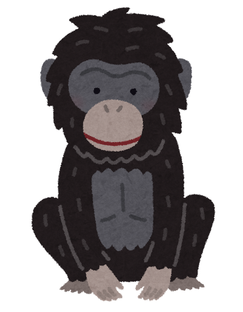 animal_bonobo