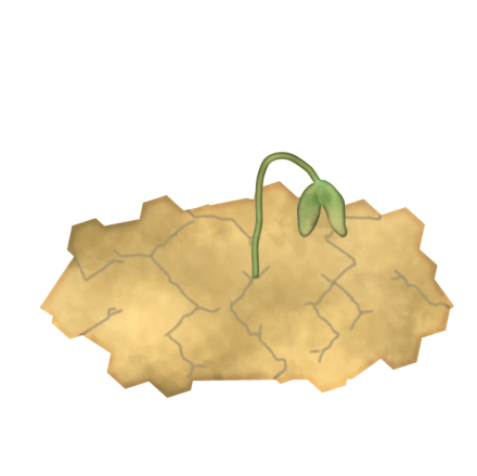 23847738