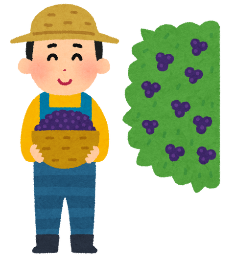 fruit_nouka_blueberry