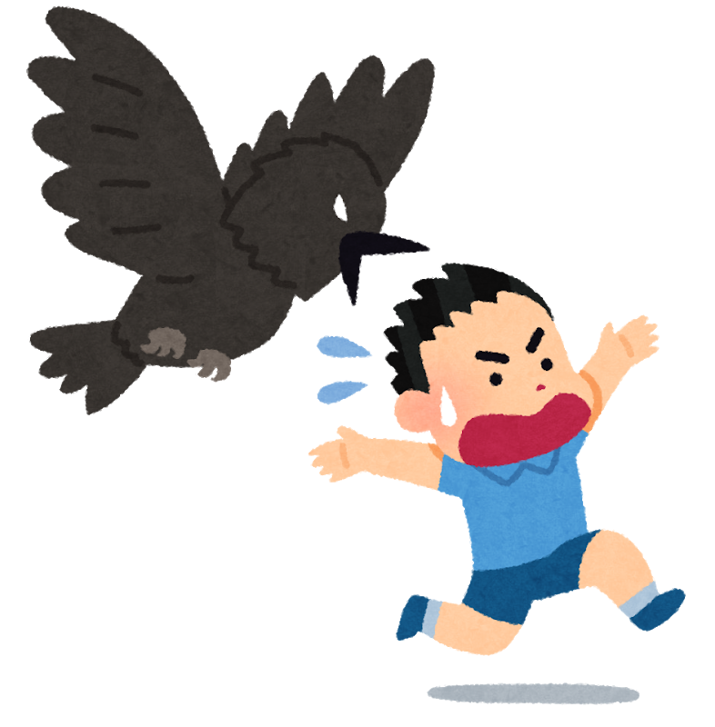 いつも駐車場に現れる謎のメッチャ早く歩く鳥の正体ｗｗｗｗｗ Vip News