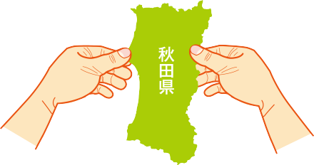 22924560