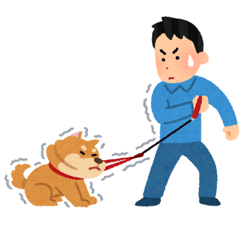柴犬って日本でスタンダードやし初心者向けで飼いやすいんやろなあ これｗｗｗｗｗ Vip News