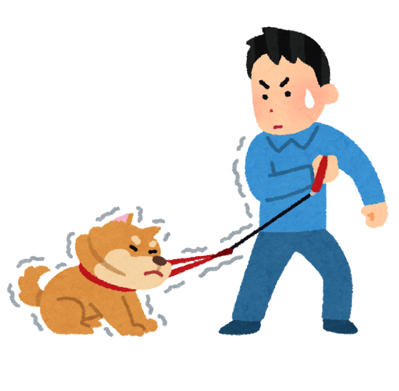 柴犬って日本でスタンダードやし初心者向けで飼いやすいんやろなあ これwwwww Vip News 柴犬って日本でスタンダードやし初心者向けで飼いやすいんやろなあ これwwwww Vip News