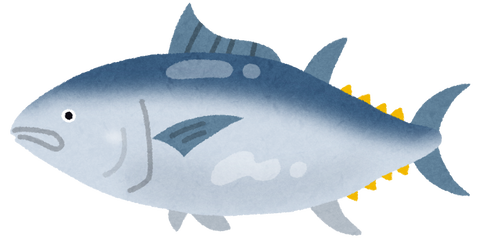 fish_maguro2