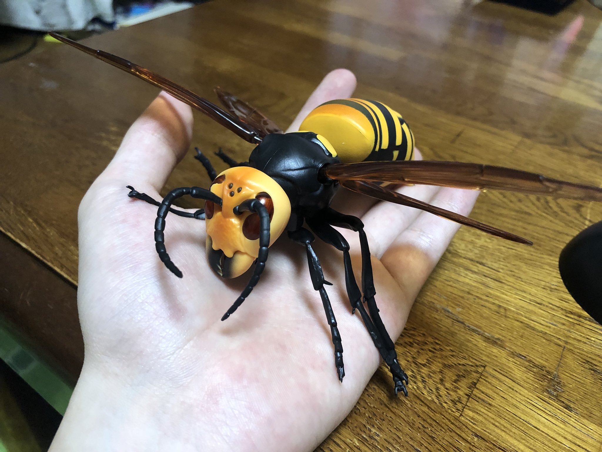 スズメバチが世界で一番大きいハチなんだってな Vipなニート