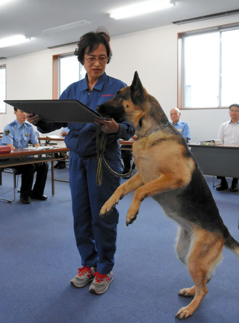 お手柄2 震える男児 深夜３時の発見 嘱託警察犬シータに感謝状 宮崎南署