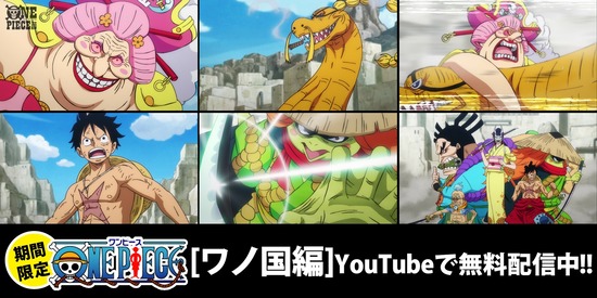 ワンピース博士だけど何か質問ある みゃおーん