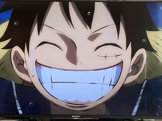 Onepiece ワンピース 幼馴染 ゾロはいいよね男の子だから 私は女だから大人になったら強くはなれないの みゃおーん