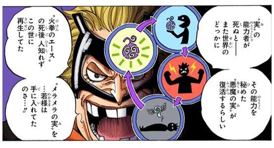 ワンピース ゴムゴムの実 ゴールドロジャーが使用していた実だったｗｗｗ Vipヌクモリティ