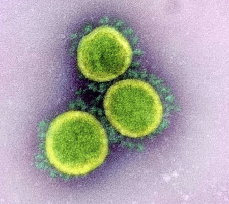 スクリーンショット 2020-11-03 12.08.51