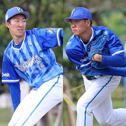 201902130000519-w500_0