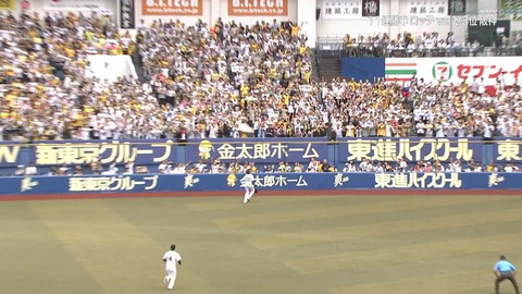 StationTV_X 2024-06-02 13-55-01-962.mp4_000378533