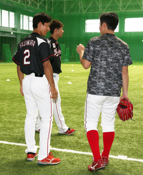 201902190000514-w1300_0