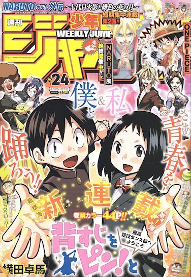 img255-6_201505110151595a8