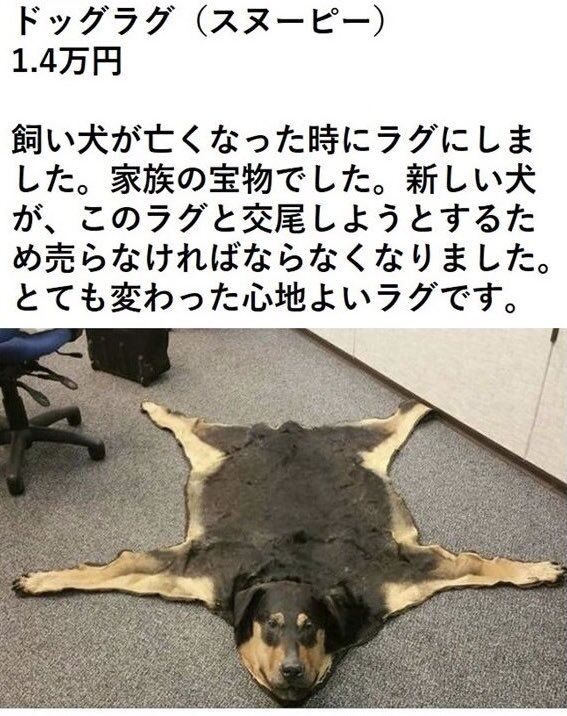 Twitter民 死んだイッヌをラグにしたけど新イッヌが交尾しようとするから売るわw パシャッ まとめウォッチ速報 Twitter民 死んだイッヌをラグにしたけど新イッヌが交尾しようとするから売るわw パシャッ まとめウォッチ速報