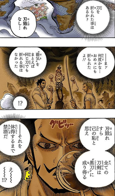鷹の目のミホーク 覇気体得するまで禁酒だ ゾロ え まとめウォッチ速報 鷹の目のミホーク 覇気体得するまで禁酒だ ゾロ え まとめウォッチ速報