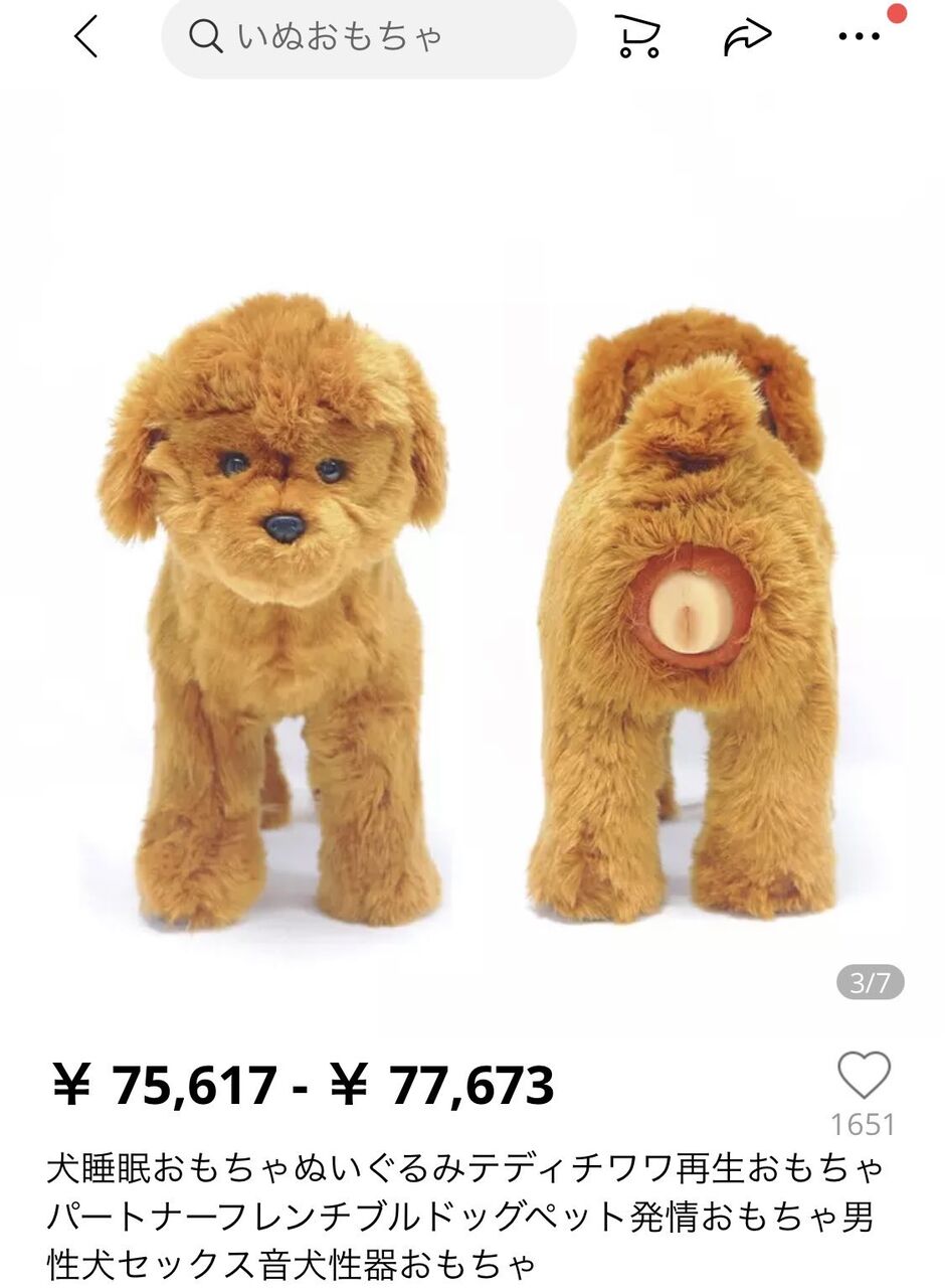 柴犬 言うこと聞きません 他の犬と仲良くしません 飼う理由 まとめウォッチ速報