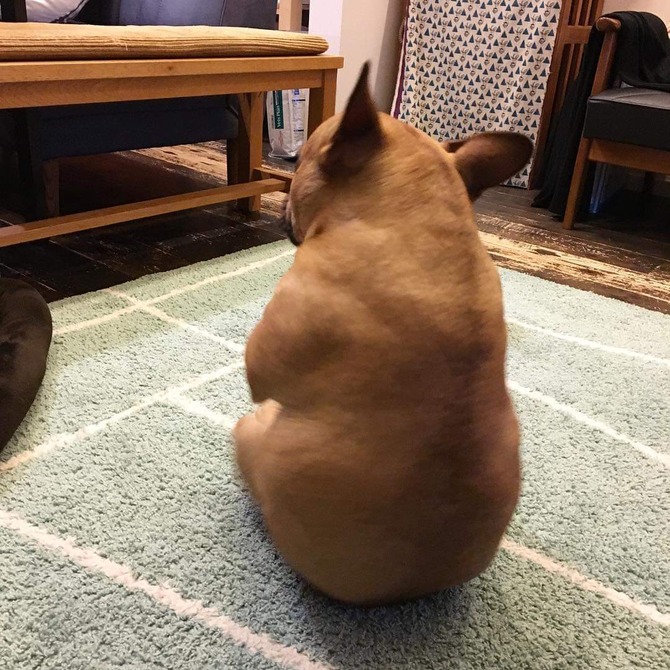 no title
