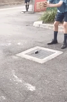 Gif見て爆笑したら負けなwwwwwwwwwwwww Gif見て爆笑したら負けなwwwwwwwwwwwww