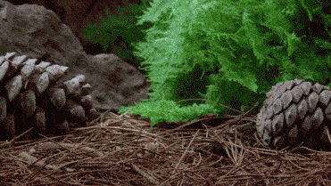 しょぼ吉とこたつとさきの無職日記☆【21冊目】 YouTube動画>2本 ->画像>90枚 