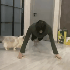 ゲラゲラ爆笑したgifwwwwwwwww ゲラゲラ爆笑したgifwwwwwwwww