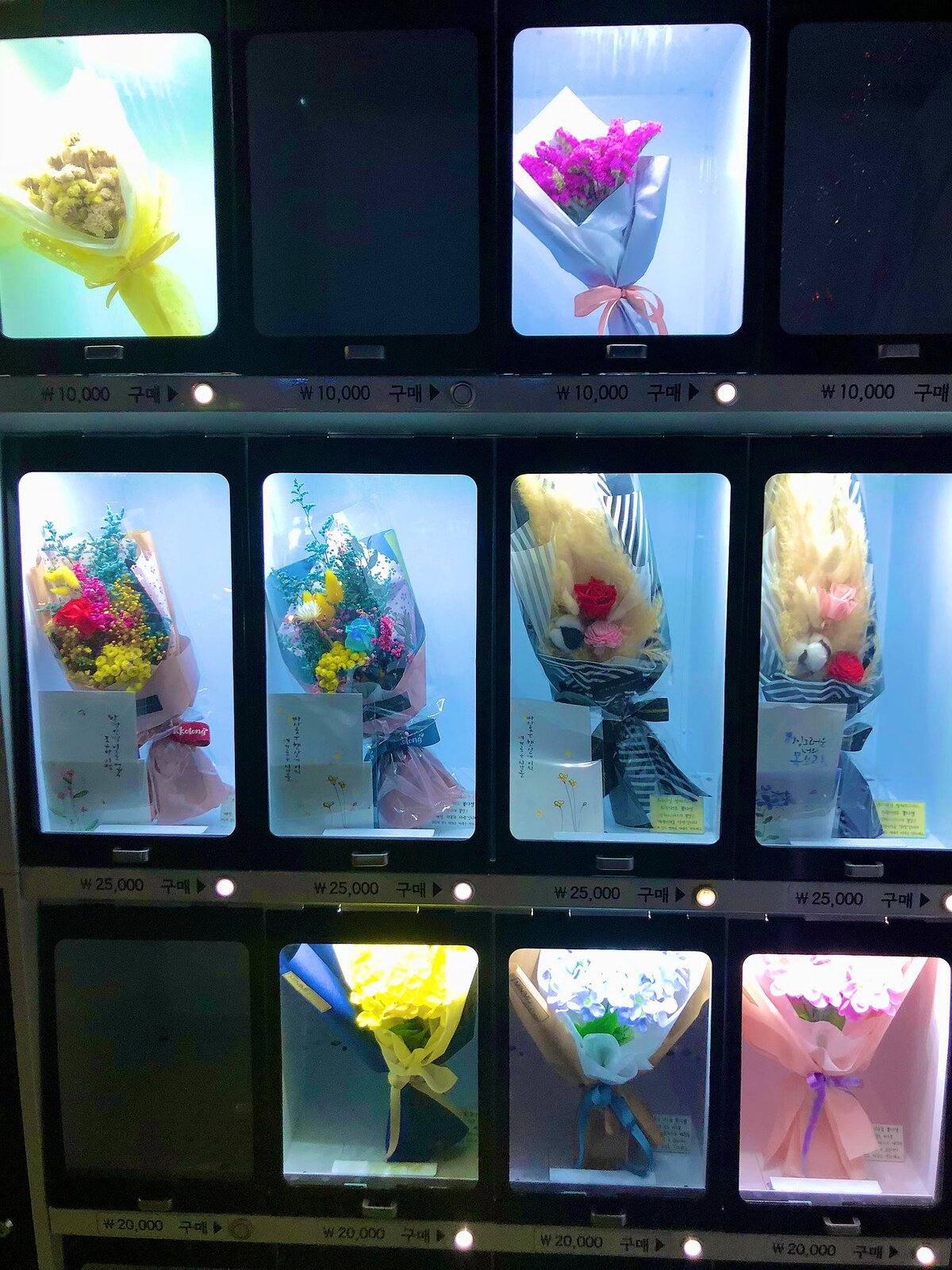 画像 韓国の風俗街すごすぎてワロタwwwwwww 2ch トピックス 速報まとめたよ 画像 韓国の風俗街すごすぎてワロタwwwwwww 2ch トピックス 速報まとめたよ