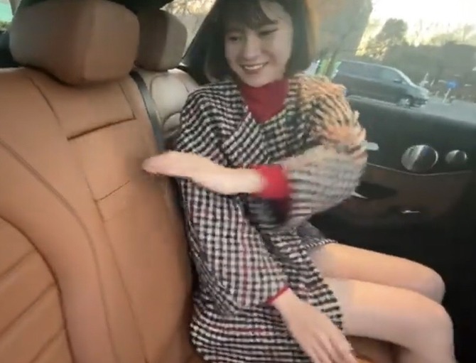 no title