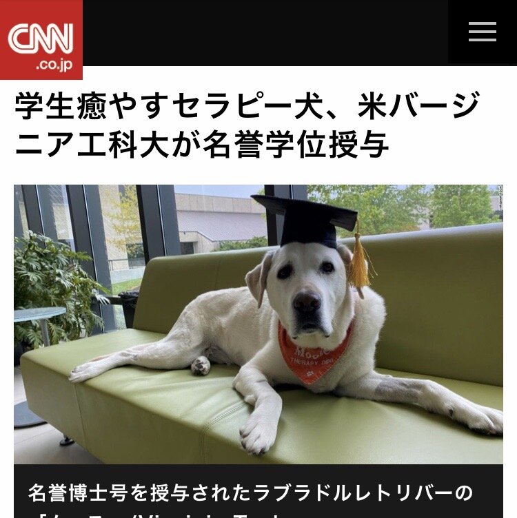 悲報 なんj民の学歴 犬未満だった ２ch トピックス 速報まとめたよ