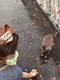 Gif 笑ったらもう寝ろwwwwwwwwwwwww Gif 笑ったらもう寝ろwwwwwwwwwwwww