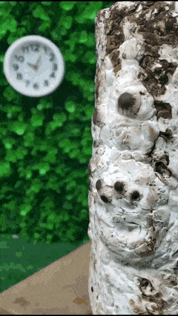 しょぼ吉とこたつとさきの無職日記☆【21冊目】 YouTube動画>2本 ->画像>90枚 