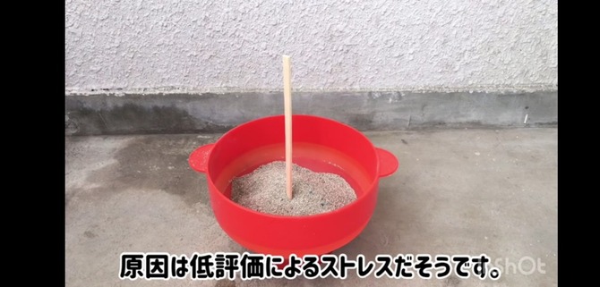 no title