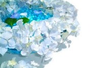 yjimageEMWAV045