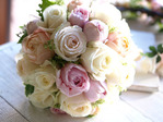 color_pink_01