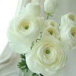 yjimageCA3L2KQM
