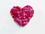 9fc2c4c9.bmp